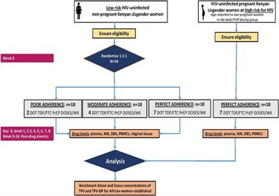 Establishing adherence–concentration–efficacy thresholds of TDF–FTC pre-exposure prophylaxis for HIV prevention in African women: a protocol for the Women TDF–FTC Benchmark Study